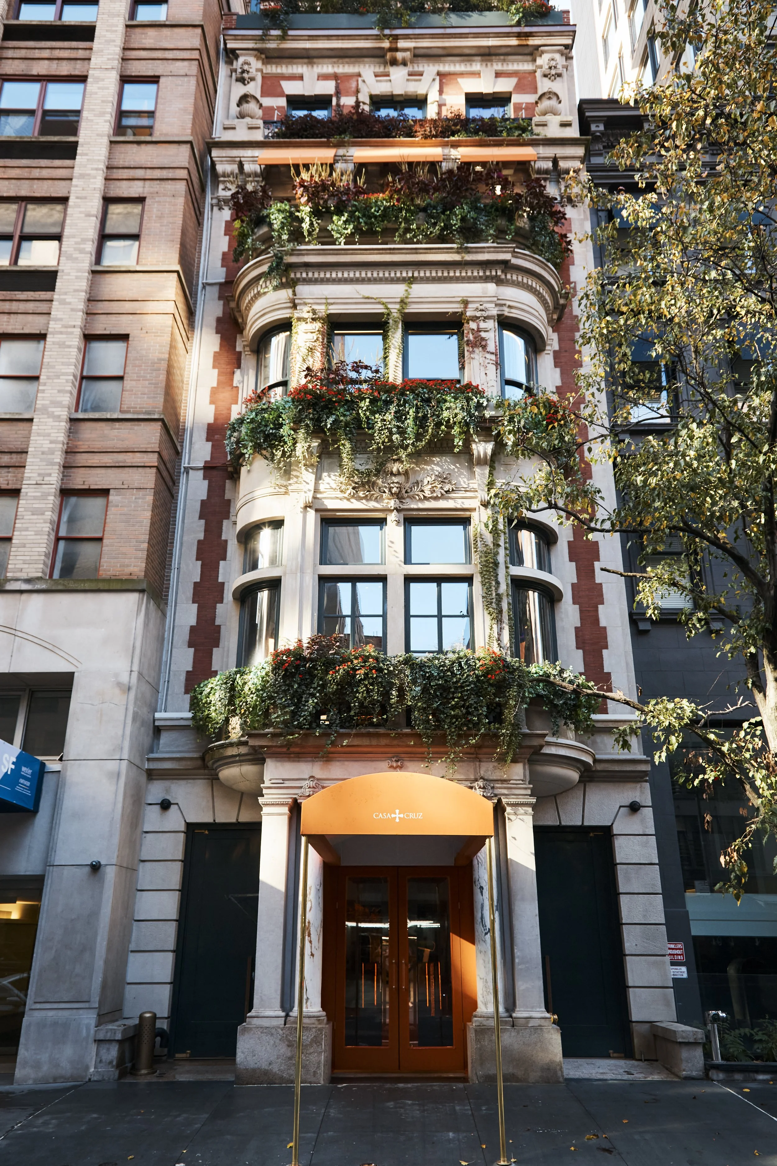 Upper East Side Townhouse Garden with Ivy Facade — Birch